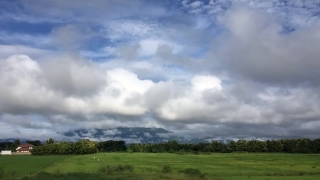 No Copyright Video, No Copyright Stock Footage, No Copyright Stock Video Clip