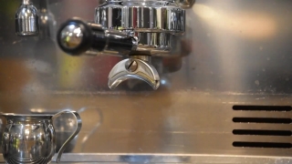 No Copyright Video, No Copyright Stock Footage, No Copyright Stock Video Clip