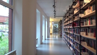 No Copyright Video, No Copyright Stock Footage, No Copyright Stock Video Clip