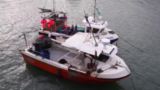 No Copyright Video, No Copyright Stock Footage, No Copyright Stock Video Clip