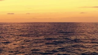 No Copyright Video, No Copyright Stock Footage, No Copyright Stock Video Clip