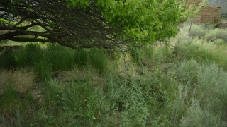 No Copyright Video, No Copyright Stock Footage, No Copyright Stock Video Clip