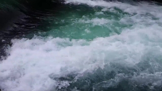 No Copyright Video, No Copyright Stock Footage, No Copyright Stock Video Clip