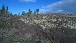 No Copyright Video, No Copyright Stock Footage, No Copyright Stock Video Clip