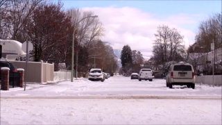 No Copyright Video, No Copyright Stock Footage, No Copyright Stock Video Clip