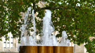 No Copyright Video, No Copyright Stock Footage, No Copyright Stock Video Clip