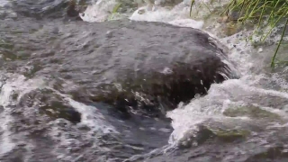 No Copyright Video, No Copyright Stock Footage, No Copyright Stock Video Clip