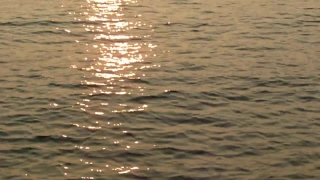 No Copyright Video, No Copyright Stock Footage, No Copyright Stock Video Clip