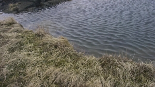 No Copyright Video, No Copyright Stock Footage, No Copyright Stock Video Clip