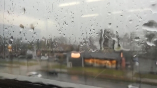 No Copyright Video, No Copyright Stock Footage, No Copyright Stock Video Clip