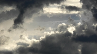 No Copyright Video, No Copyright Stock Footage, No Copyright Stock Video Clip