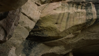 No Copyright Video, No Copyright Stock Footage, No Copyright Stock Video Clip