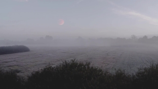 No Copyright Video, No Copyright Stock Footage, No Copyright Stock Video Clip