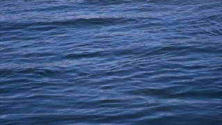 No Copyright Video, No Copyright Stock Footage, No Copyright Stock Video Clip