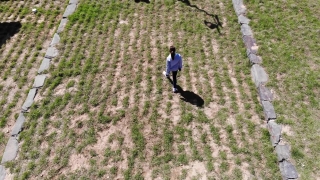 No Copyright Video, No Copyright Stock Footage, No Copyright Stock Video Clip