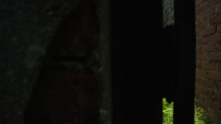 No Copyright Video, No Copyright Stock Footage, No Copyright Stock Video Clip