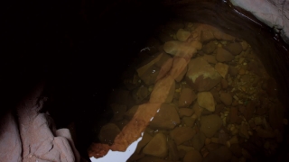 No Copyright Video, No Copyright Stock Footage, No Copyright Stock Video Clip