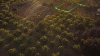 No Copyright Video, No Copyright Stock Footage, No Copyright Stock Video Clip