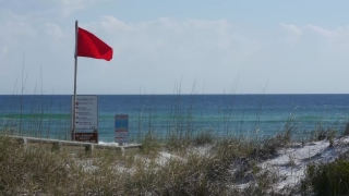 No Copyright Video, No Copyright Stock Footage, No Copyright Stock Video Clip