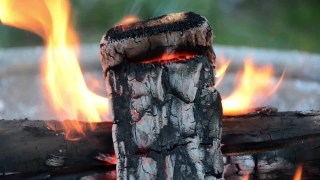 No Copyright Video, No Copyright Stock Footage, No Copyright Stock Video Clip