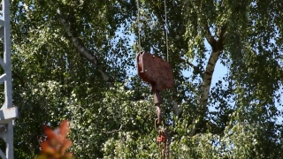 No Copyright Video, No Copyright Stock Footage, No Copyright Stock Video Clip