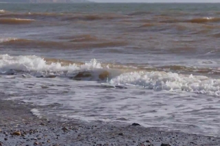 No Copyright Video, No Copyright Stock Footage, No Copyright Stock Video Clip