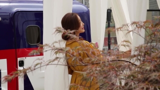 No Copyright Video, No Copyright Stock Footage, No Copyright Stock Video Clip