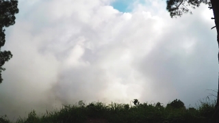 No Copyright Video, No Copyright Stock Footage, No Copyright Stock Video Clip