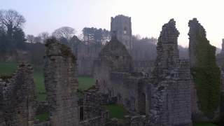 No Copyright Video, No Copyright Stock Footage, No Copyright Stock Video Clip