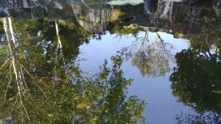 No Copyright Video, No Copyright Stock Footage, No Copyright Stock Video Clip