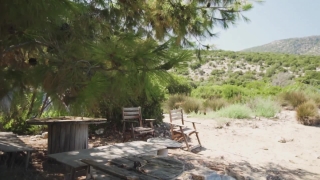 No Copyright Video, No Copyright Stock Footage, No Copyright Stock Video Clip