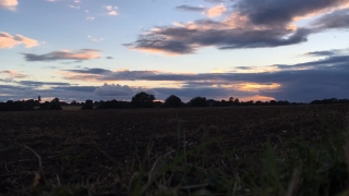 No Copyright Video, No Copyright Stock Footage, No Copyright Stock Video Clip