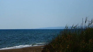 No Copyright Video, No Copyright Stock Footage, No Copyright Stock Video Clip