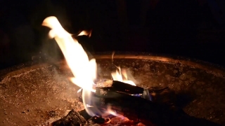 No Copyright Video, No Copyright Stock Footage, No Copyright Stock Video Clip