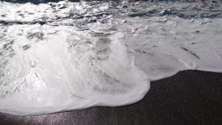 No Copyright Video, No Copyright Stock Footage, No Copyright Stock Video Clip