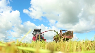 No Copyright Video, No Copyright Stock Footage, No Copyright Stock Video Clip