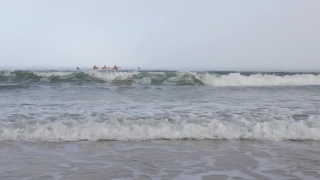 No Copyright Video, No Copyright Stock Footage, No Copyright Stock Video Clip