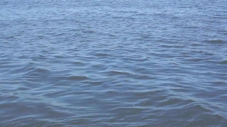 No Copyright Video, No Copyright Stock Footage, No Copyright Stock Video Clip