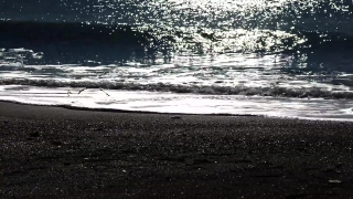 No Copyright Video, No Copyright Stock Footage, No Copyright Stock Video Clip