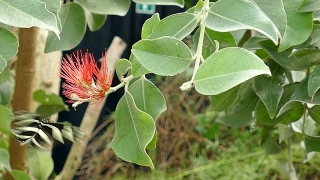 No Copyright Video, No Copyright Stock Footage, No Copyright Stock Video Clip