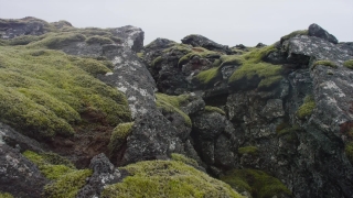 No Copyright Video, No Copyright Stock Footage, No Copyright Stock Video Clip