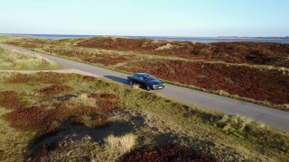 No Copyright Video, No Copyright Stock Footage, No Copyright Stock Video Clip