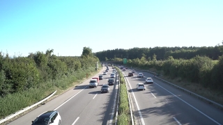 No Copyright Video, No Copyright Stock Footage, No Copyright Stock Video Clip