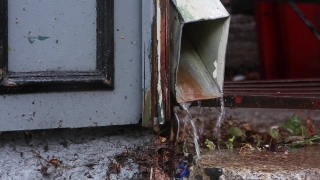 No Copyright Video, No Copyright Stock Footage, No Copyright Stock Video Clip