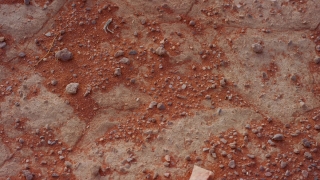 No Copyright Video, No Copyright Stock Footage, No Copyright Stock Video Clip