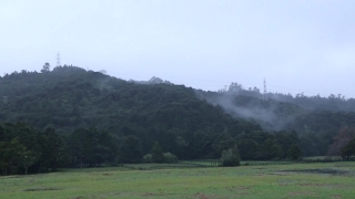 No Copyright Video, No Copyright Stock Footage, No Copyright Stock Video Clip