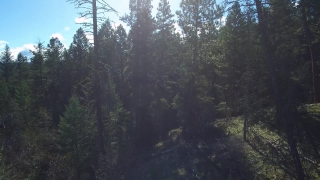 No Copyright Video, No Copyright Stock Footage, No Copyright Stock Video Clip