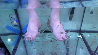 No Copyright Video, No Copyright Stock Footage, No Copyright Stock Video Clip