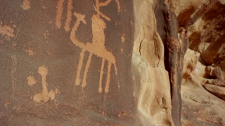 No Copyright Video, No Copyright Stock Footage, No Copyright Stock Video Clip