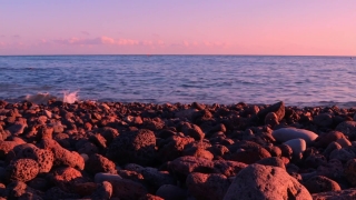 No Copyright Video, No Copyright Stock Footage, No Copyright Stock Video Clip